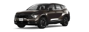 Alternative view of KIA Sportage